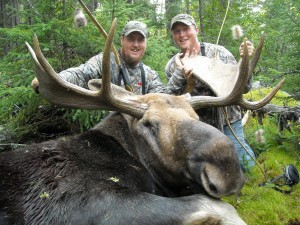 Jesse Voight's Bull Moose