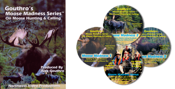 Moose Madness 'Series' 4 Disk Set